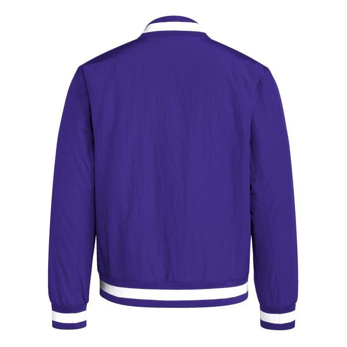 adidas Unisex Dugout Coaches Jacket | IS9782-TeamCollegiatePurple-3XS